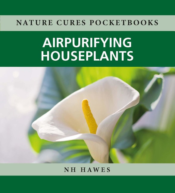 Air-purifying Houseplants, Nat Hawes