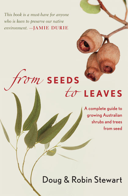 From Seeds to Leaves, Robin Stewart