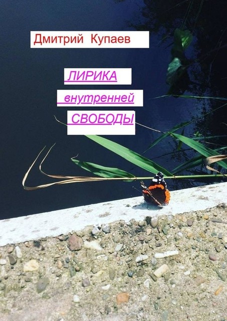Лирика внутренней свободы, Дмитрий Купаев