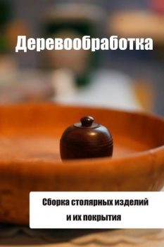 Сборка столярных изделий и их покрытия, Илья Мельников