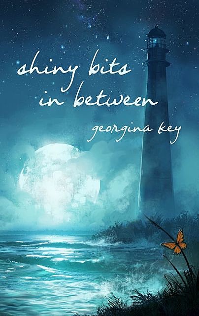 Shiny Bits in Between, Georgina Key