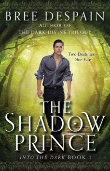 The Shadow Prince, Bree DeSpain