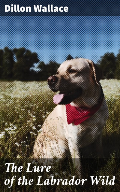 The Lure of the Labrador Wild, Dillon Wallace