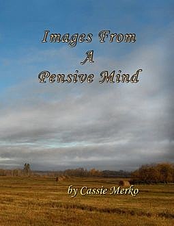 Images from a Pensive Mind, Cassie Merko