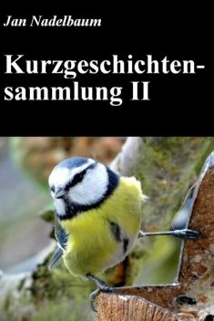 Kurzgeschichtensammlung II, Jan Nadelbaum