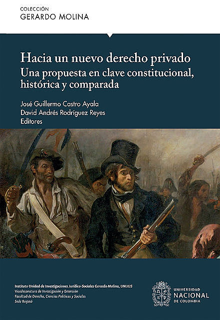 Hacia un nuevo derecho privado, David Andrés Rodríguez Reyes, José Guillermo Castro Ayala