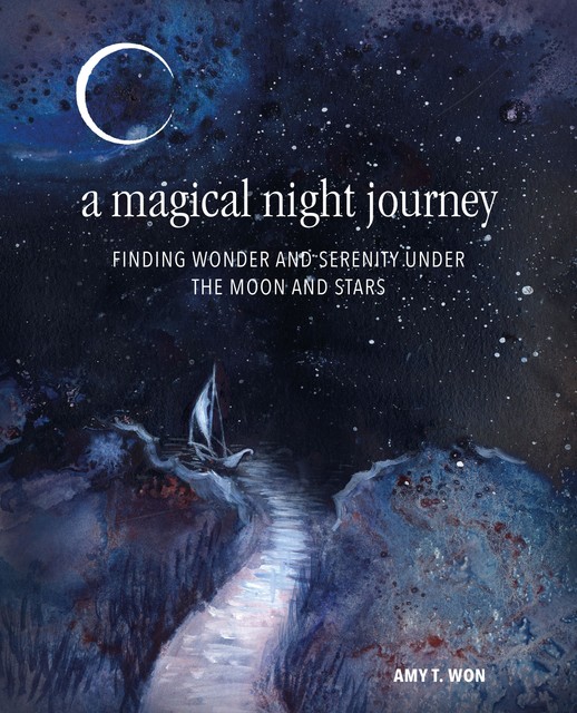 A Magical Night Journey, Amy T Won