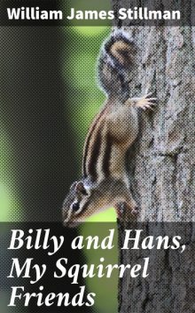 Billy and Hans, My Squirrel Friends, William James Stillman