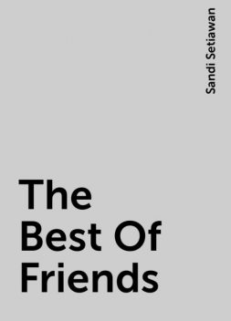 The Best Of Friends, Sandi Setiawan