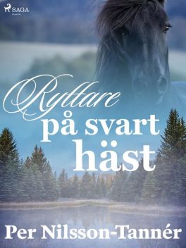 Ryttare på svart häst, Per Nilsson-Tannér