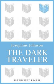 The Dark Traveler, Josephine Johnson