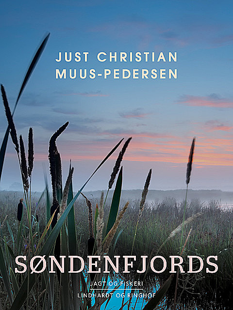 Søndenfjords, Just Christian Muus Pedersen