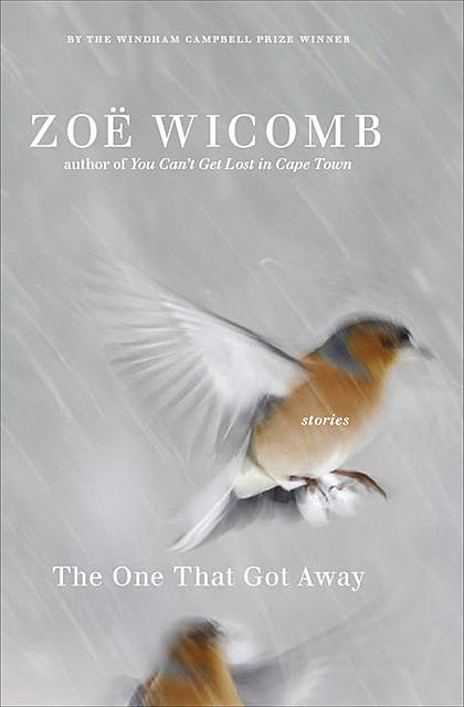 The One That Got Away, Zoë Wicomb
