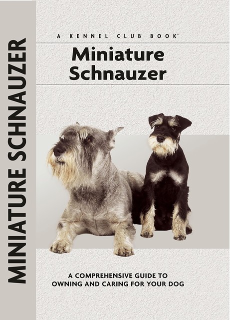 Miniature Schnauzer, Lee Sheehan