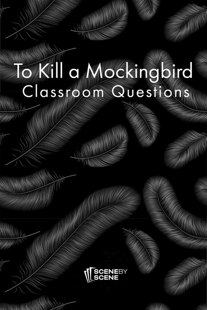 To Kill a Mockingbird Classroom Questions, Amy Farrell