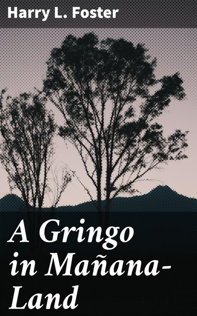 A Gringo in Mañana-Land, Harry L. Foster