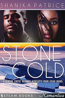 Stone Cold – A Sexy Erotic Romance Novelette from Steam Books, Shanika Patrice, Steam Books
