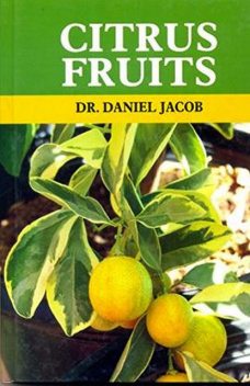 Citrus Fruits, Daniel Jacob