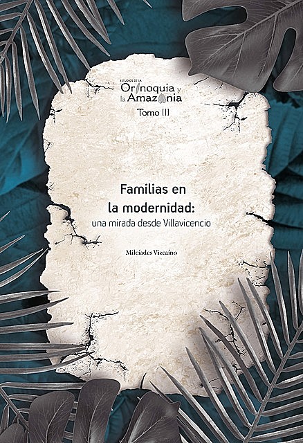 Familias en la modernidad: una mirada desde Villavicencio, Milcíades Vizcaíno Gutiérrez