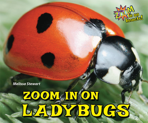 Zoom In on Ladybugs, Melissa Stewart