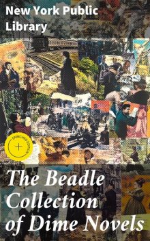 The Beadle Collection of Dime Novels, New York Public Library