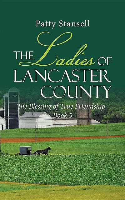 The Ladies of Lancaster County: The Blessings of True Friendship, Patty Stansell