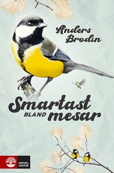 Smartast bland mesar, Anders Brodin