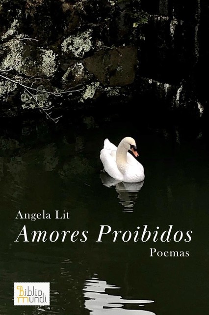 Amores Proibidos, Angela Lit
