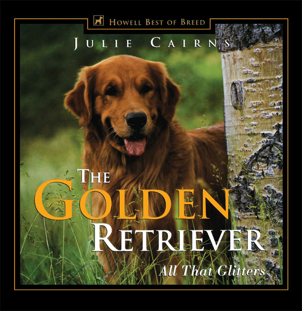 The Golden Retriever, Julie Cairns
