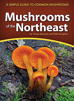 Mushrooms of the Northeast, Teresa Marrone, Walt Sturgeon