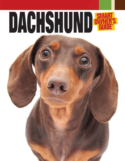 Dachshund, Dog Fancy Magazine