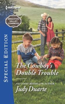 The Cowboy's Double Trouble, Judy Duarte