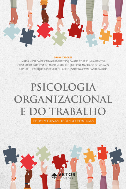 Psicologia organizacional e do trabalho, Daiane Rose Cunha Bentivi, Elisa Amorim Ribeiro, Maria Nivalda de Carvalho Freitas, Melissa Machado de Moraes, Raphael Di Lascio, Sabrina Cavalcanti Barros