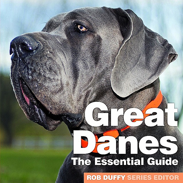 Great Danes The Essential Guide, 