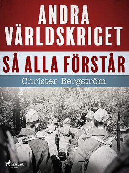 Andra världskriget så alla förstår, Christer Bergström