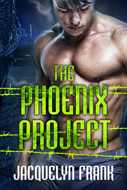 The Phoenix Project, Jacquelyn Frank