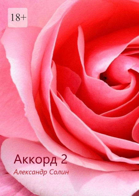 Аккорд-2, Александр Солин
