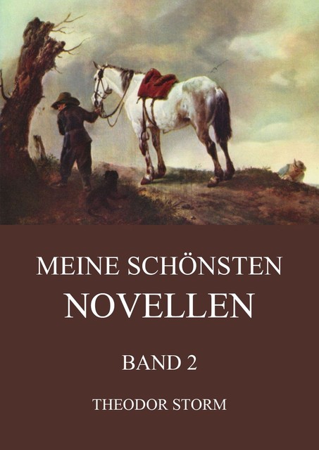 Meine schönsten Novellen, Band 2, Theodor Storm