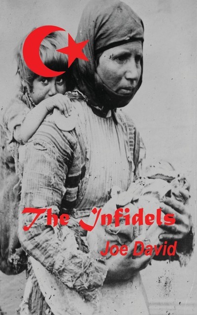 The Infidels, Joe David