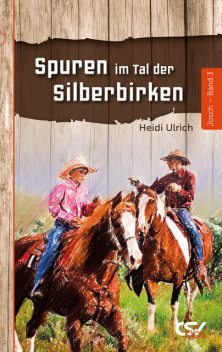Spuren im Tal der Silberbirken, Heidi Ulrich