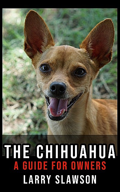 The Chihuahua, Larry Slawson