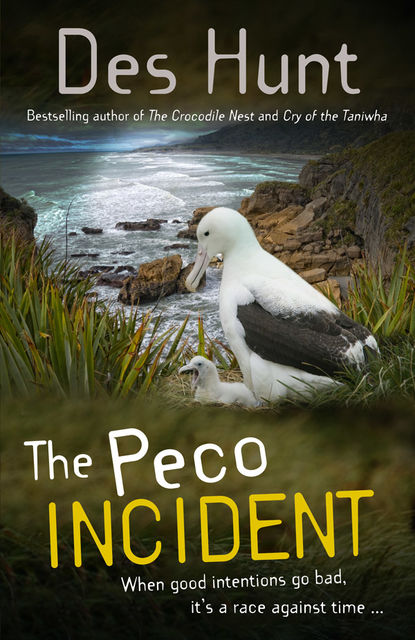 The Peco Incident, Des Hunt