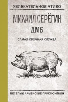 ДМБ: САМАЯ СРОЧНАЯ СЛУЖБА, Михаил Серегин