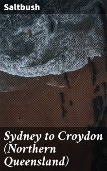 Sydney to Croydon (Northern Queensland), Saltbush