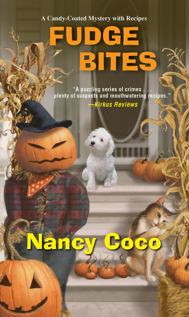 Fudge Bites, Nancy Coco