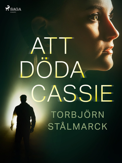 Att döda Cassie, Torbjörn Stålmarck