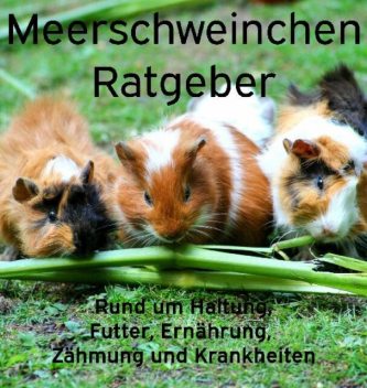 Meerschweinchen Ratgeber, Powerlifting check