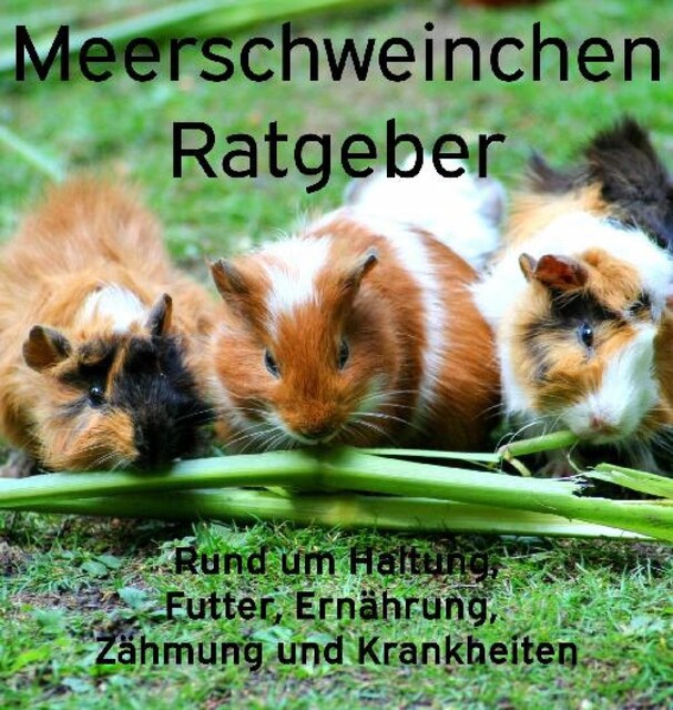 Meerschweinchen Ratgeber, Powerlifting check