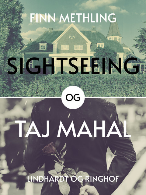 Sightseeing og Taj Majhal, Finn Methling