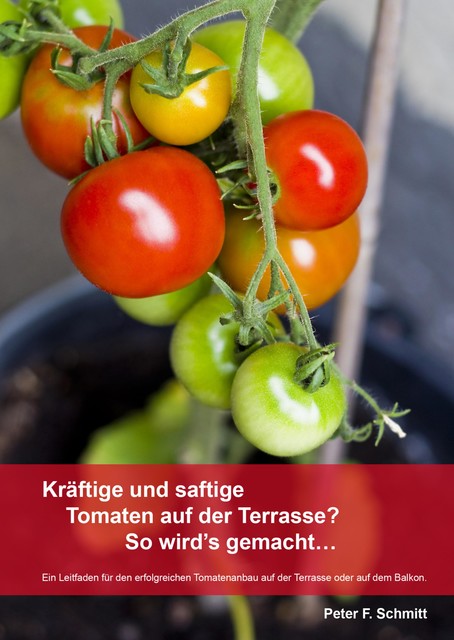 Kräftige und saftige Tomaten auf der Terrasse? So wird's gemacht, Peter Schmitt